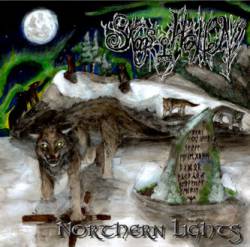 Skogshallen : Northern Lights